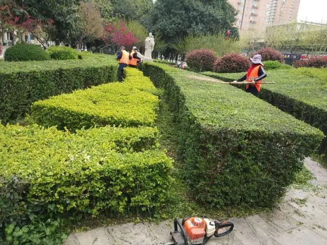 江夏区口碑好的园林绿化工程设计