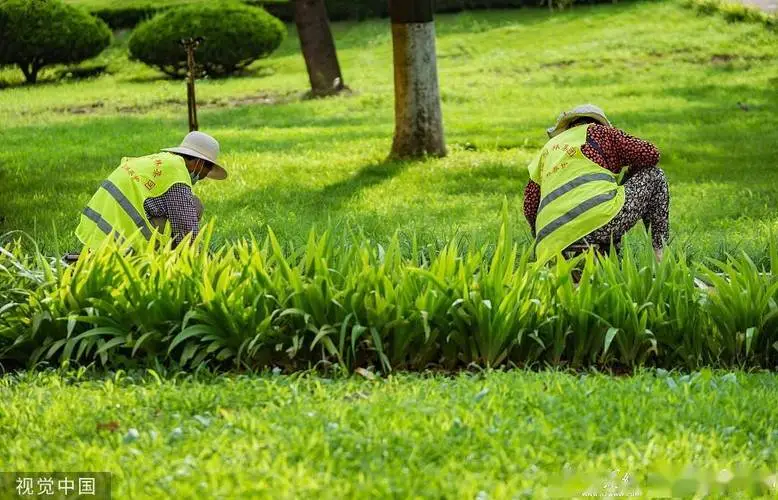 花草树木园林景观设计