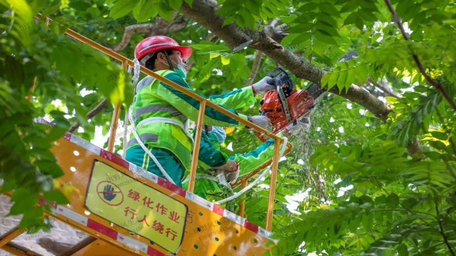 枝江市东干渠绿化工程项目